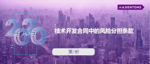 技術(shù)開發(fā)合同中的風(fēng)險(xiǎn)分擔(dān)條款